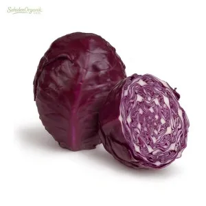 Organik Mor Lahana 600 gr