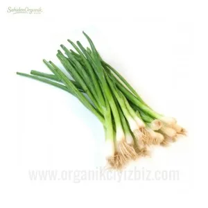 Organik Taze Sarımsak 250 gr