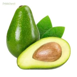 Organik Avokado