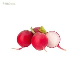 Organik Turp