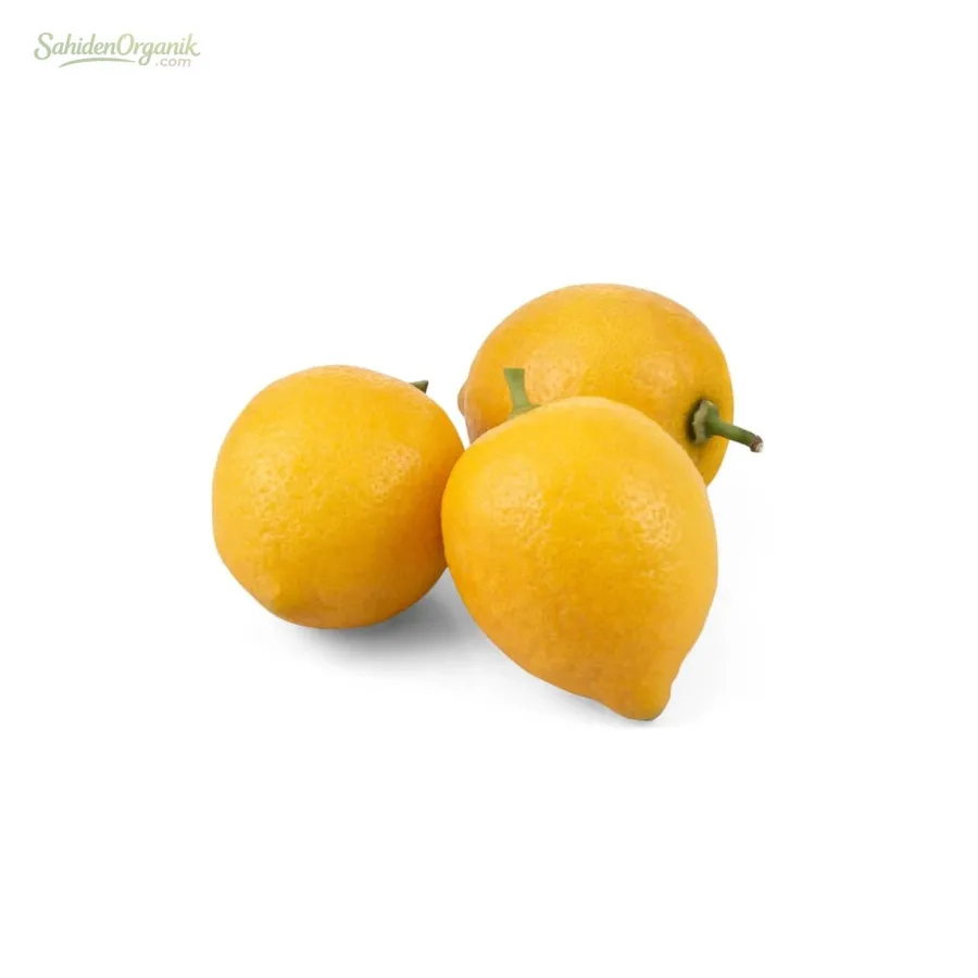 Organik Limon 500 gr