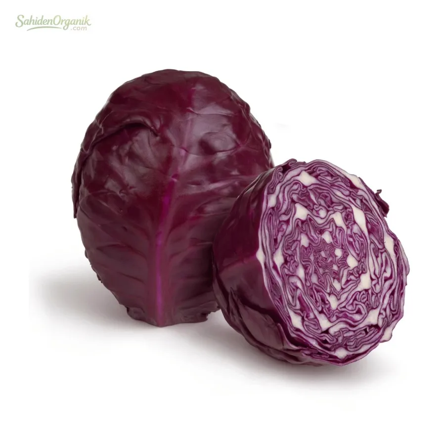 Organik Mor Lahana 600 gr