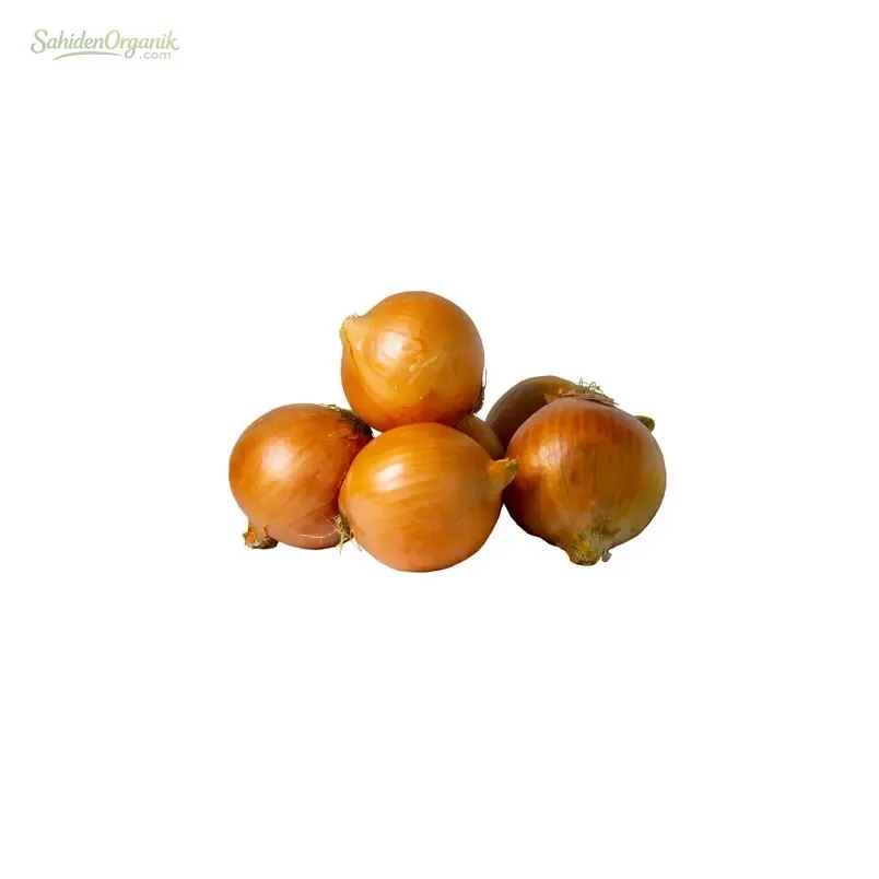 Organik Kuru Soğan 500 gr