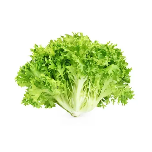 Organik Kıvırcık