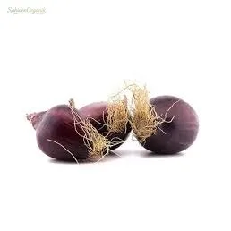 Organik Mor Soğan 500 gr
