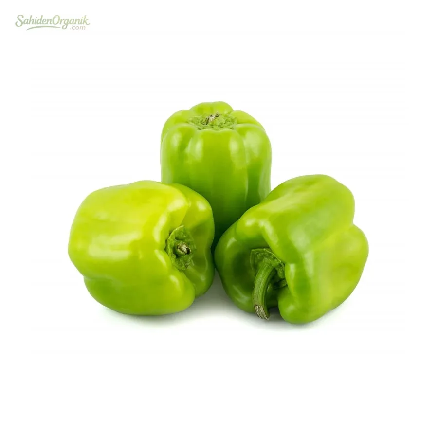 Organik Dolma Biber 350 gr