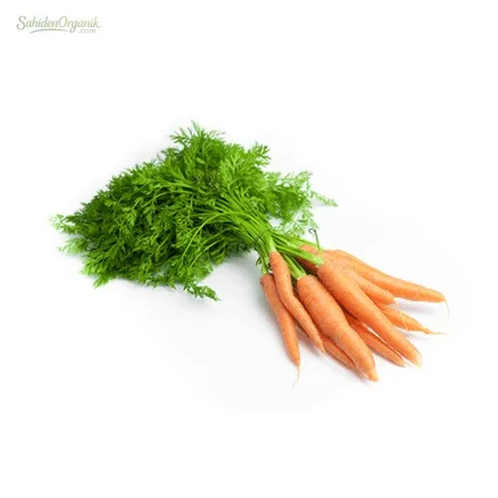 Organik Havuç 500 gr