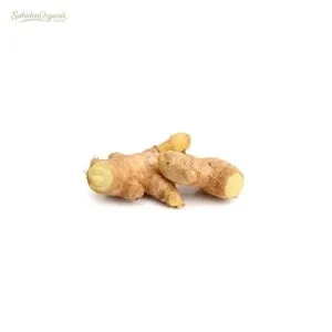 Organik Zencefil 100 gr