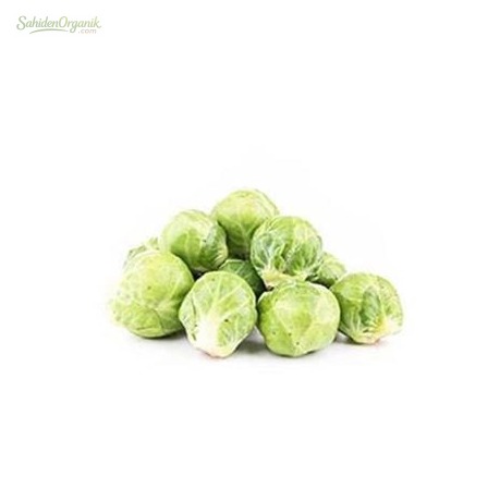 Organik Bürüksel Lahana