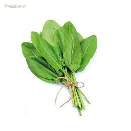 Organik Kuzu Kulağı