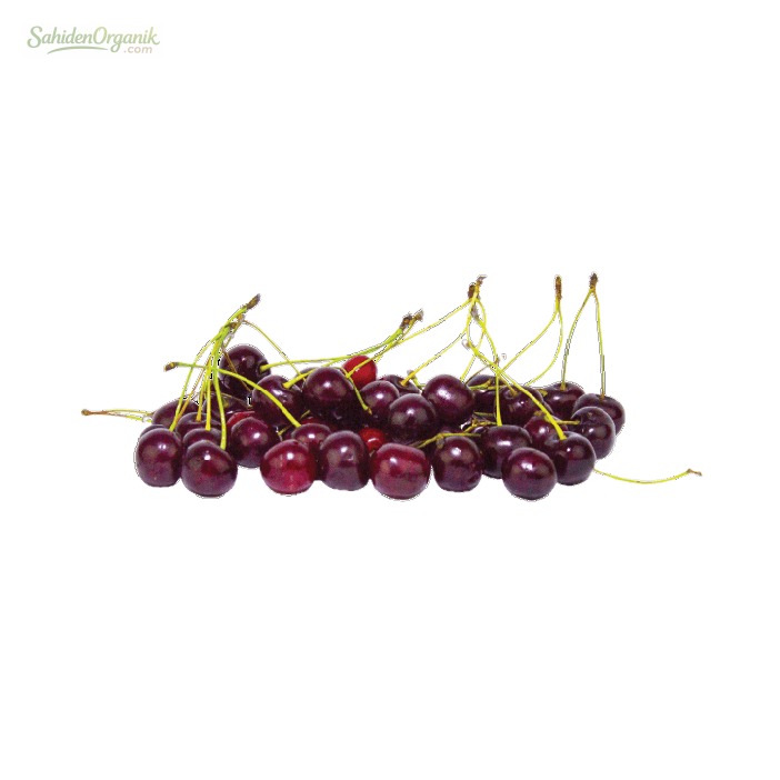 Organik Vişne 500 gr
