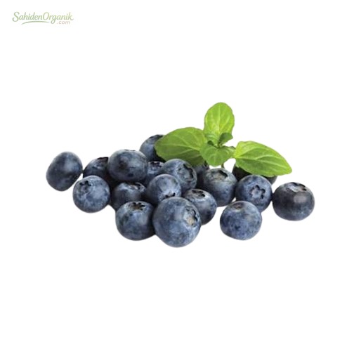 Organik Yaban Mersini 500 gr