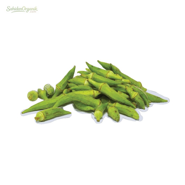 Organik Bamya 500 gr