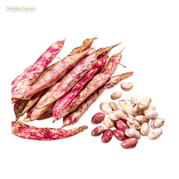 Organik Barbunya 500 gr